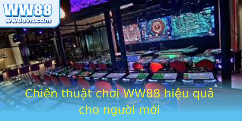 Chiến thuật chơi WW88 hiệu quả cho người mới