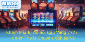 Kham Pha Bi An Soi Cau Vang 7777 Chien Thuat Chuyen Nghiep Va Chinh Xac